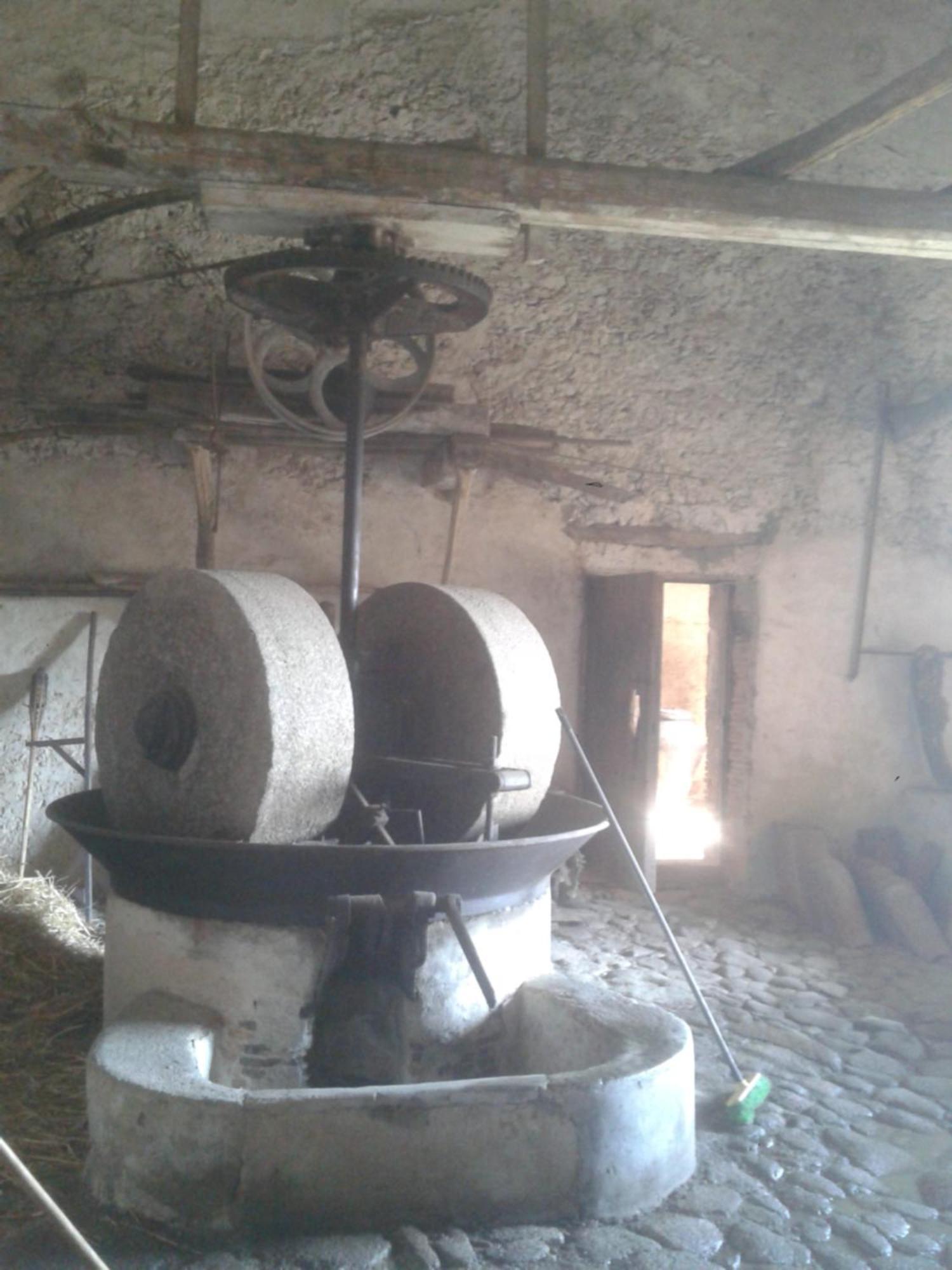 Agriturismo Frantoio Mafrica Limbadi Eksteriør billede