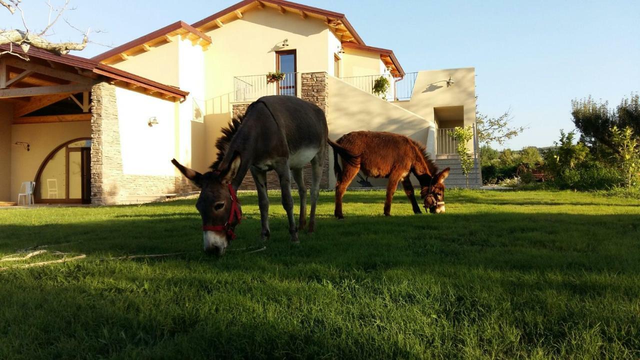 Agriturismo Frantoio Mafrica Limbadi Eksteriør billede